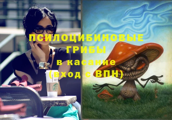 соль ск Киреевск