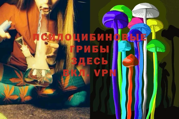 бутират Чегем