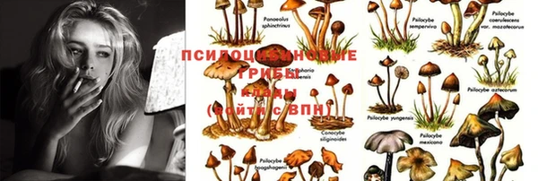 соль ск Киреевск