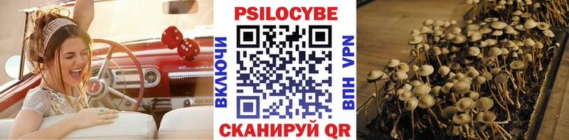 Галлюциногенные грибы Magic Shrooms Купить где Богучар